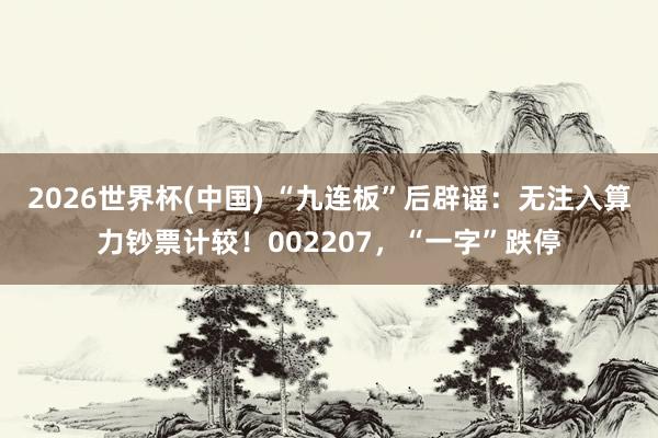 2026世界杯(中国) “九连板”后辟谣：无注入算力钞票计较！002207，“一字”跌停