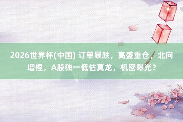 2026世界杯(中国) 订单暴跌，高盛重仓，北向增捏，A股独一低估真龙，机密曝光？