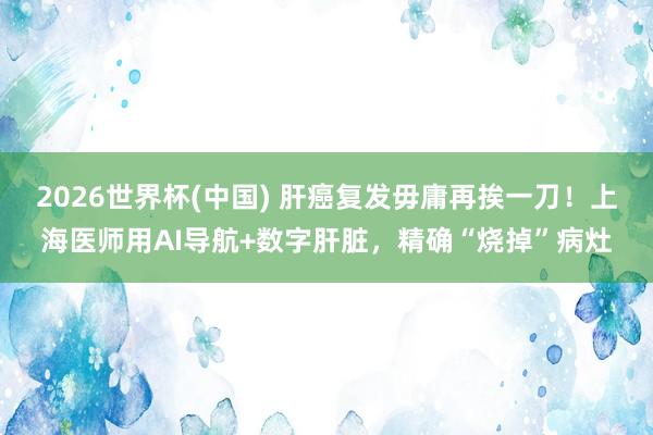 2026世界杯(中国) 肝癌复发毋庸再挨一刀！上海医师用AI导航+数字肝脏，精确“烧掉”病灶