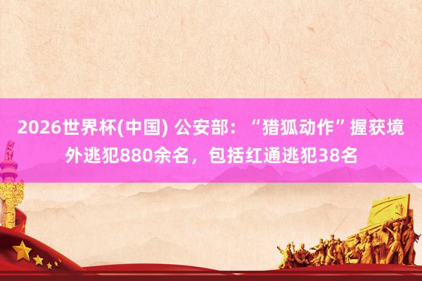 2026世界杯(中国) 公安部：“猎狐动作”握获境外逃犯880余名，包括红通逃犯38名