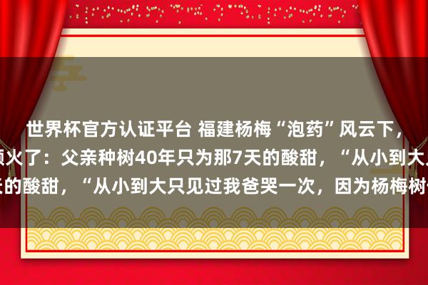 世界杯官方认证平台 福建杨梅“泡药”风云下，浙江仙居小姐一段视频火了：父亲种树40年只为那7天的酸甜，“从小到大只见过我爸哭一次，因为杨梅树倒了”