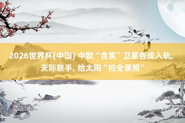 2026世界杯(中国) 中欧“含笑”卫星告成入轨， 天际联手， 给太阳“拍全景照”
