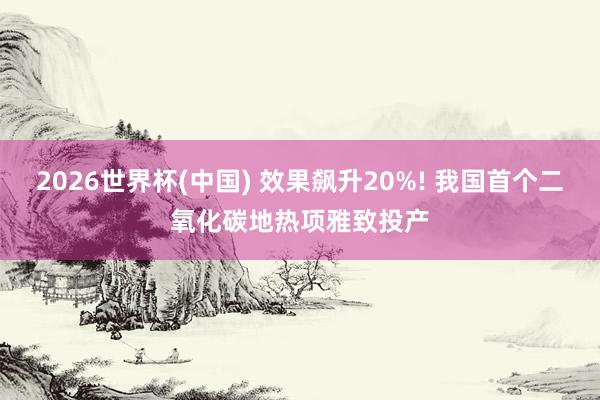 2026世界杯(中国) 效果飙升20%! 我国首个二氧化碳地热项雅致投产