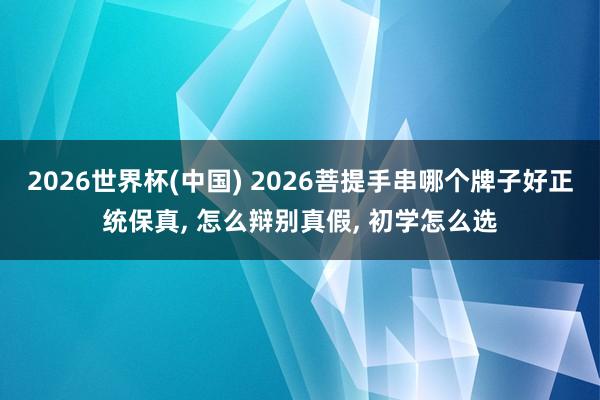 2026世界杯(中国) 2026菩提手串哪个牌子好正统保真， 怎么辩别真假， 初学怎么选
