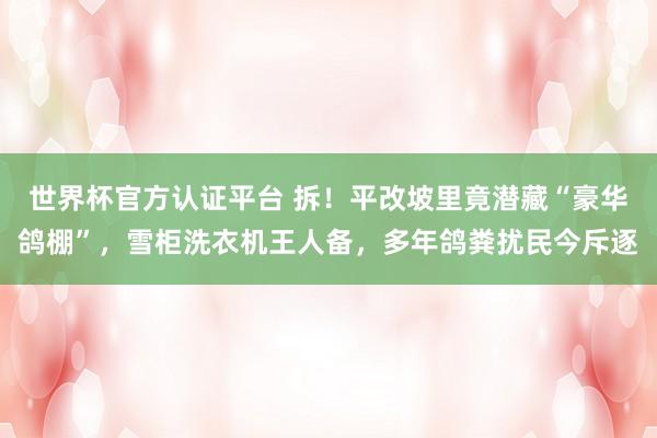 世界杯官方认证平台 拆！平改坡里竟潜藏“豪华鸽棚”，雪柜洗衣机王人备，多年鸽粪扰民今斥逐