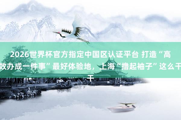 2026世界杯官方指定中国区认证平台 打造“高效办成一件事”最好体验地，上海“撸起袖子”这么干