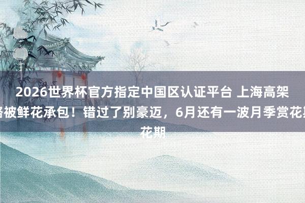 2026世界杯官方指定中国区认证平台 上海高架路被鲜花承包！错过了别豪迈，6月还有一波月季赏花期
