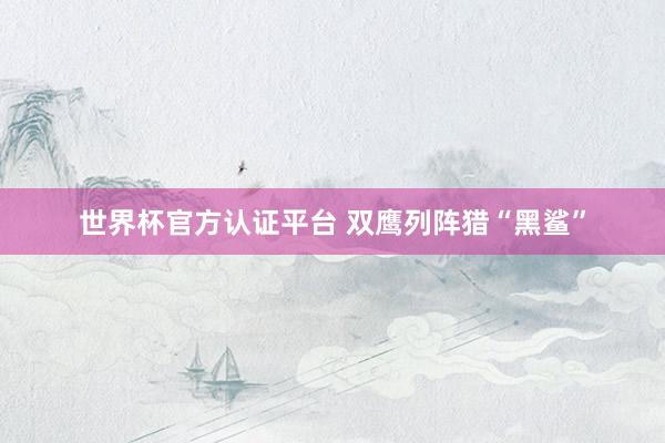 世界杯官方认证平台 双鹰列阵猎“黑鲨”