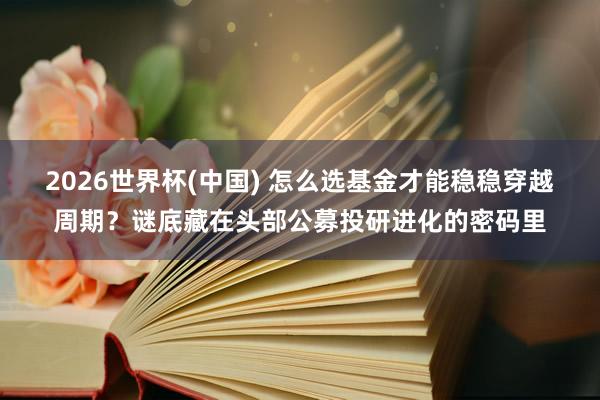2026世界杯(中国) 怎么选基金才能稳稳穿越周期？谜底藏在头部公募投研进化的密码里