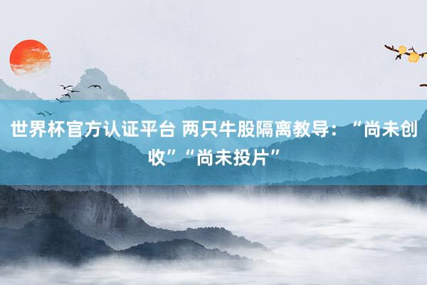 世界杯官方认证平台 两只牛股隔离教导：“尚未创收”“尚未投片”