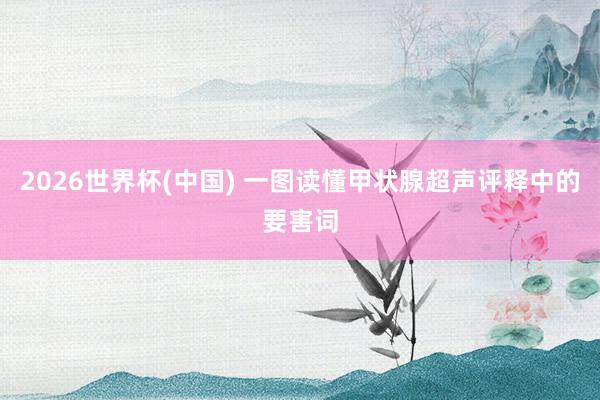 2026世界杯(中国) 一图读懂甲状腺超声评释中的要害词