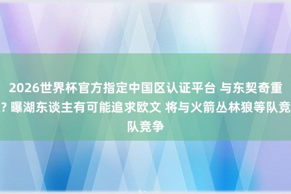2026世界杯官方指定中国区认证平台 与东契奇重聚? 曝湖东谈主有可能追求欧文 将与火箭丛林狼等队竞争