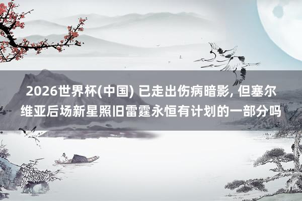 2026世界杯(中国) 已走出伤病暗影, 但塞尔维亚后场新星照旧雷霆永恒有计划的一部分吗