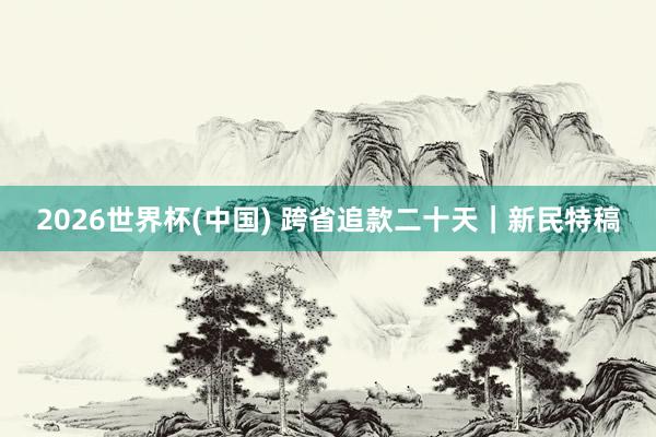 2026世界杯(中国) 跨省追款二十天|新民特稿