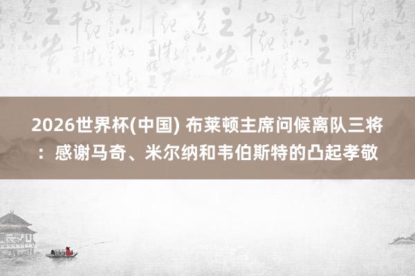 2026世界杯(中国) 布莱顿主席问候离队三将:感谢马奇、米尔纳和韦伯斯特的凸起孝敬