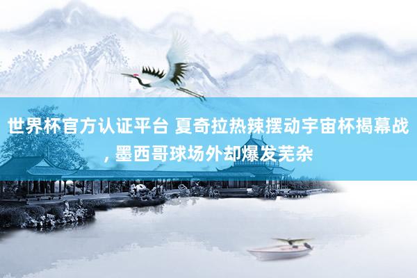 世界杯官方认证平台 夏奇拉热辣摆动宇宙杯揭幕战, 墨西哥球场外却爆发芜杂