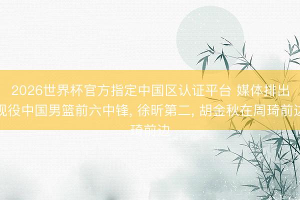 2026世界杯官方指定中国区认证平台 媒体排出现役中国男篮前六中锋, 徐昕第二, 胡金秋在周琦前边